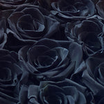 medium-12-roses-black136