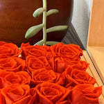 large-20-roses-orange161