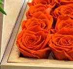 large-20-roses-orange162