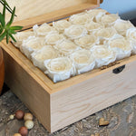 large-20-roses-white48