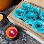 mini-6-roses-tiffany-blue221
