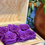 mini-6-roses-violet233