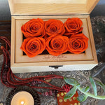 mini-6-roses-orange147