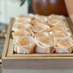 medium-12-roses-ivory25