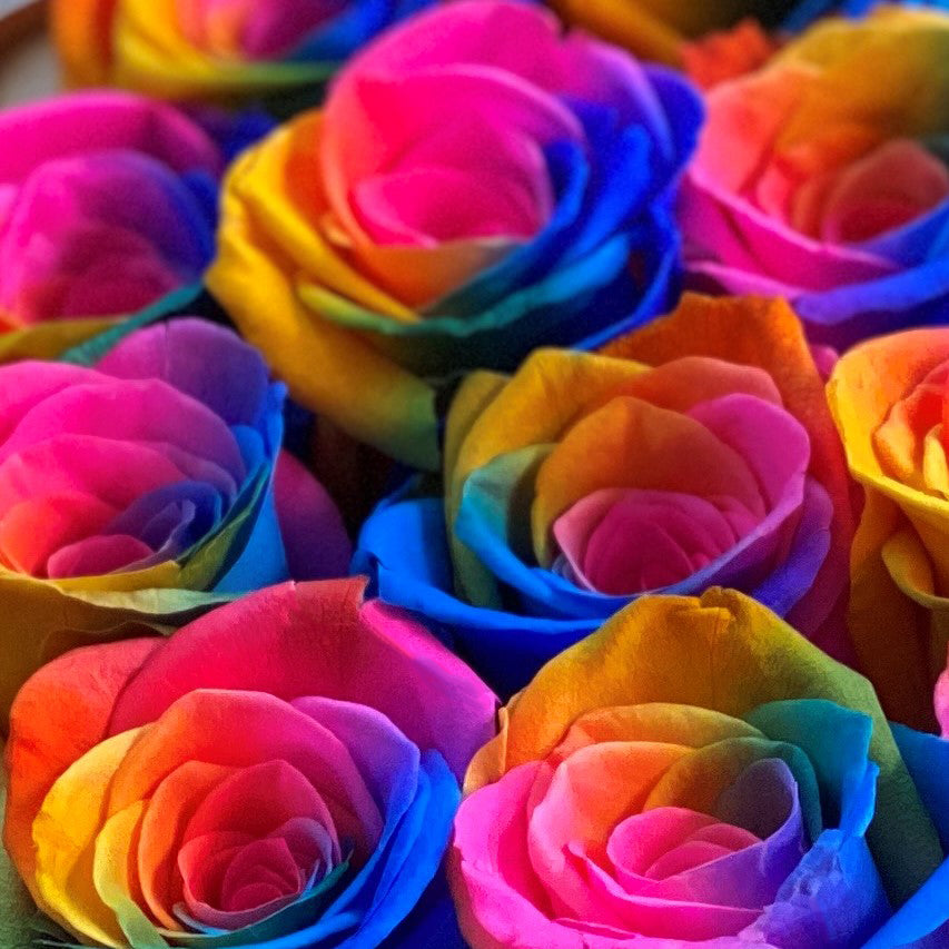 Everlasting Preserved Rainbow Roses - Small Luxury Black Diamond Heart ...
