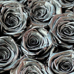 small-8-roses-silver79