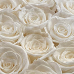 large-20-roses-white50